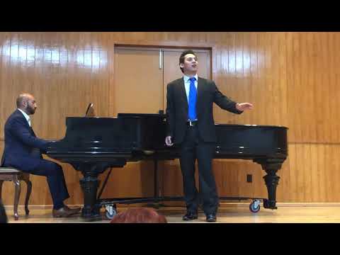 Rivolgete a lui lo sguardo - W. A. Mozart (Così fan tutte)