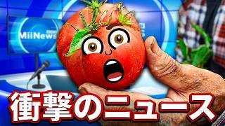 【トモコレ】そっくりすぎるトマトが誕生！？シュールなMiiニュースｗ「トモダチコレクションわくわく生活」#56