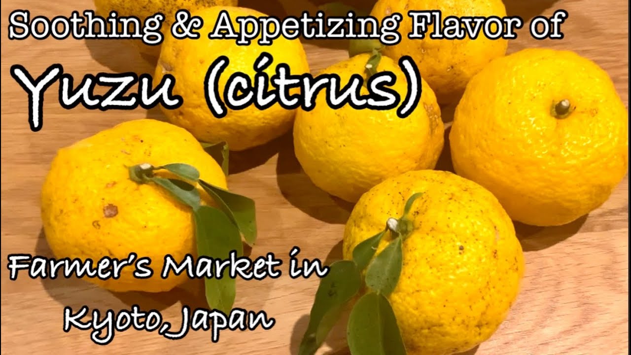 Yuzu (citrus) at Farmer’s Market | Kyoto, Japan