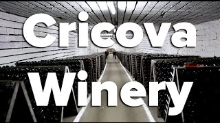 Cricova Winery and Cellar