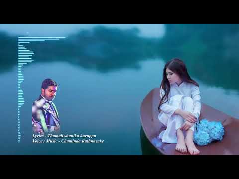 Nethata Netha/නෙතට නෙත- Lyrics :Thamali Shanika-Voice & Music : Chaminda Rathnayake
