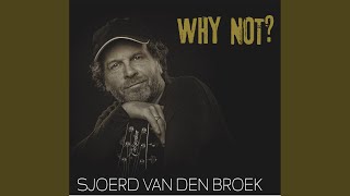 Sjoerd Van Den Broek - Wasted Years video