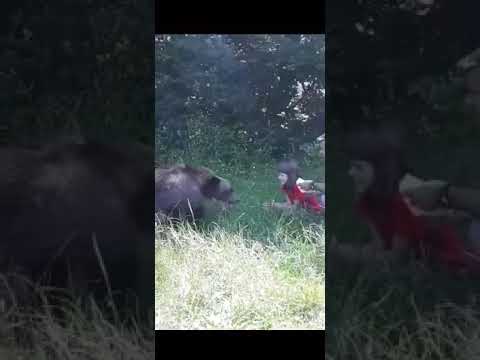 Youtube video image