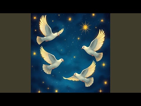 Illuminate the Night