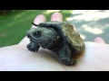 Baby Snapping Turtle