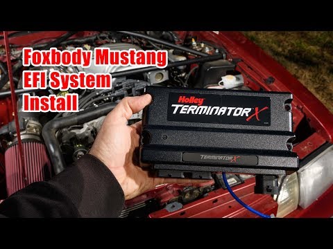Foxbody Mustang Holley Terminator X Install