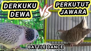 Download lagu SUBHANALLAH ! Perkutut vs derkuku dewa adu skill menari mp3