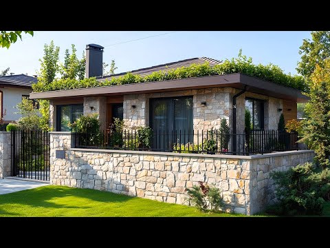 冬のジャスミンが開花しないのはなぜですか よくある間違い ヒント 水やりの場所 肥料の剪定