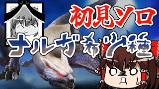 【初見ソロ】HDD故障→PC故障→人間故障の3コンボで精神壊れた【モンハンライズ:サンブレイクゆっくり実況】