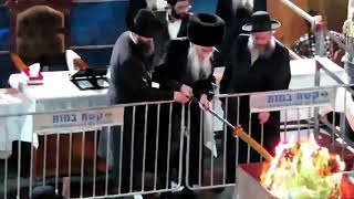 לג בעומר אין אלכסנדר  בראשות כ"ק האדמו"ר מאלכסנדר אברימי גולדברג & מקהלת אלכסנדר #jewishmusic
