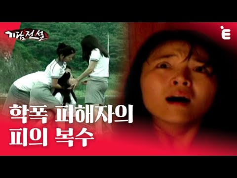 비디오 5
