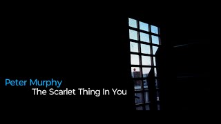 Peter Murphy - The Scarlet Thing In You + [ English Lyrics ]