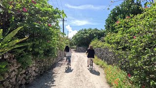 石垣島ドリーム観光