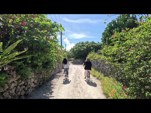 石垣島ドリーム観光