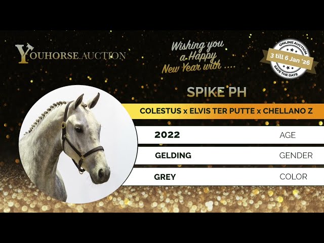 Spike PH under the saddle
