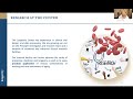 Personalised Longevity In Practice By Joana Bensz