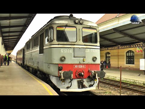 Trenuri în Gara Centrală din Oradea 🚂🚆 Trains in Oradea Central Station - 01 March 2024