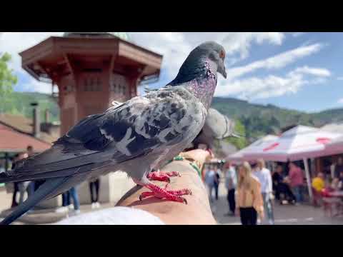 Bosnia and Herzegovina in 4K - Sarajevo & Visoko