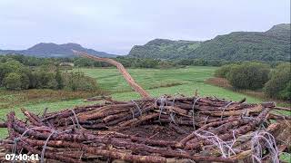 Gwynedd · Bywyd Gwyllt Glaslyn Wildlife Osprey · Wales live stream