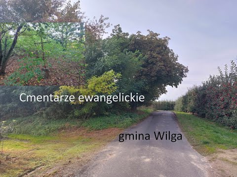 Cmentarze ewangelickie pośród sadów - gmina Wilga
