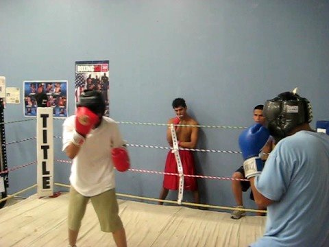 mauri boxing
