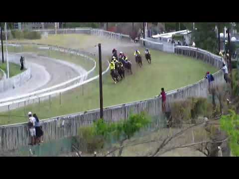 19eme journée - Race 2 - New Abbey