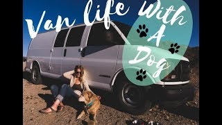 VANLIFE With a Dog