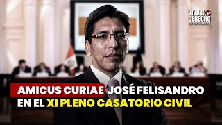 Download the video "Amicus curiae José Felisandro Mas Camus en el XI Pleno Casatorio Civil (prescripción adquisitiva)"