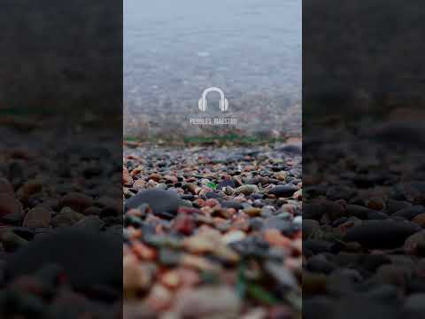 🎧 1 Minute Pebble ASMR | Das ruhigste Kieselgeräusch der Wellen ASMR #Shorts