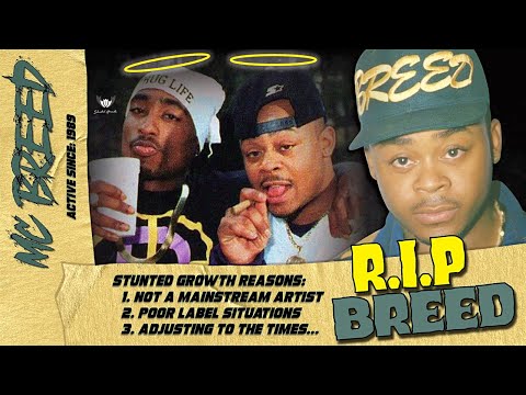 The Flint Pioneer: What Happened To MC BREED? R.I.P Stunted Growth Music