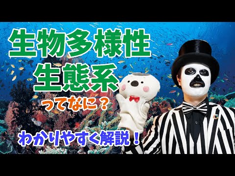 エモイア・セルレオカウダ