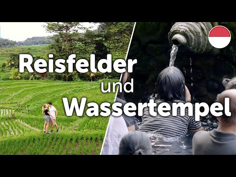 Diese REISFELDER in Bali sind wunderschön! 😍 • Tegalalang & Tirta Empul Wassertempel | Indonesien