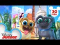 Bingo and Rolly Travel Across America 🌎 | 30 Minute Compilation | Puppy Dog Pals | Disney Junior