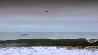 Black Light Burns. The Moment You Realize You're Going To Fall: Chapter 1