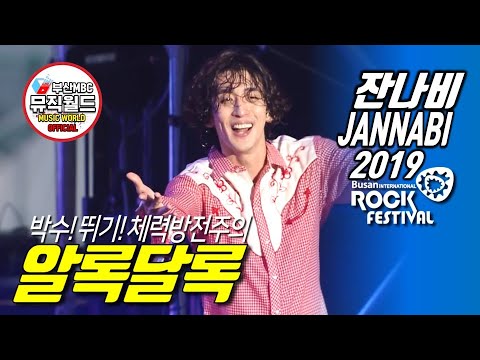 [ 잔나비 떼창법 ] 알록달록 190727  ( 잔나비 라이브 2019 부산국제록페스티벌 )