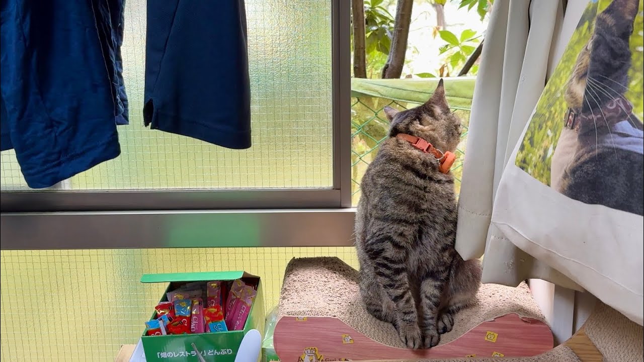 外の見方の癖がすごい