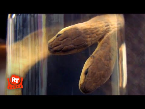 The Last Mimzy (2007) - TWO-HEADED SNAKE! | Movieclips