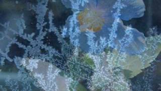 Secret Garden Lament For A Frozen Flower Video