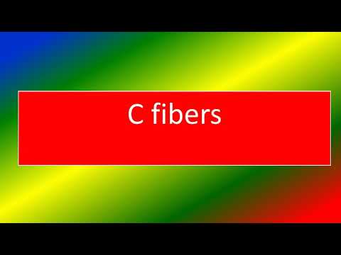 c fibers