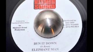 Elephant Man - Bun It Down