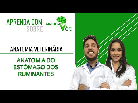 , title : 'Anatomia Veterinária - Anatomia do Estômago dos Ruminantes'