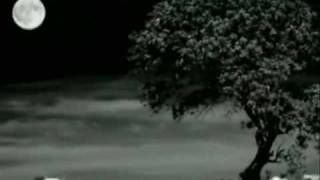 es mejor caminar ...