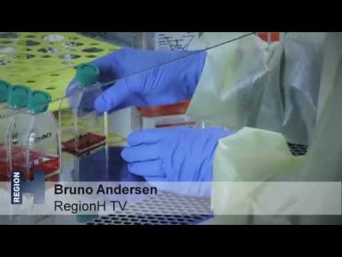 Stor sundhedspris for udvikling af ny malariavaccine