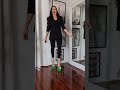Amanda Blanks Heelsshoes Womensshoes