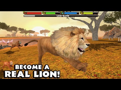 Ultimate Lion Simulator (By Gluten Free Games LLC) Android Gameplay - YouTube