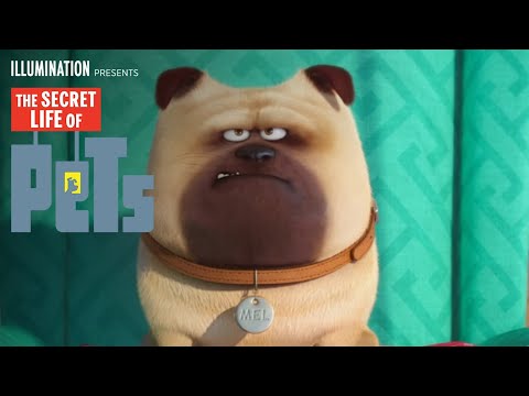 The Secret Life Of Pets | Meet Mel (HD) | Illumination