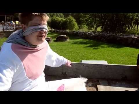 Sebbes och Sussies Möhippa