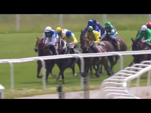 2019.06.16 Bloomers' Vase (SWE) - Appelina