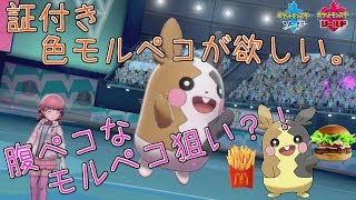 【ポケモン剣盾】超レア☆証付き色ハラペコなモルペコgetの旅２周目333～【初見さん歓迎】【女性実況】