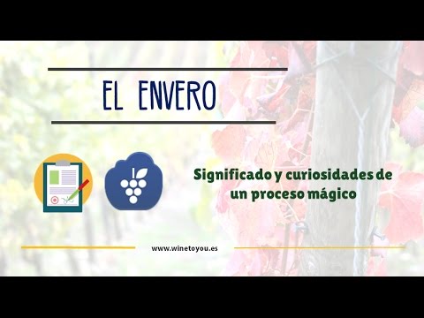 El envero :características y curiosidades
